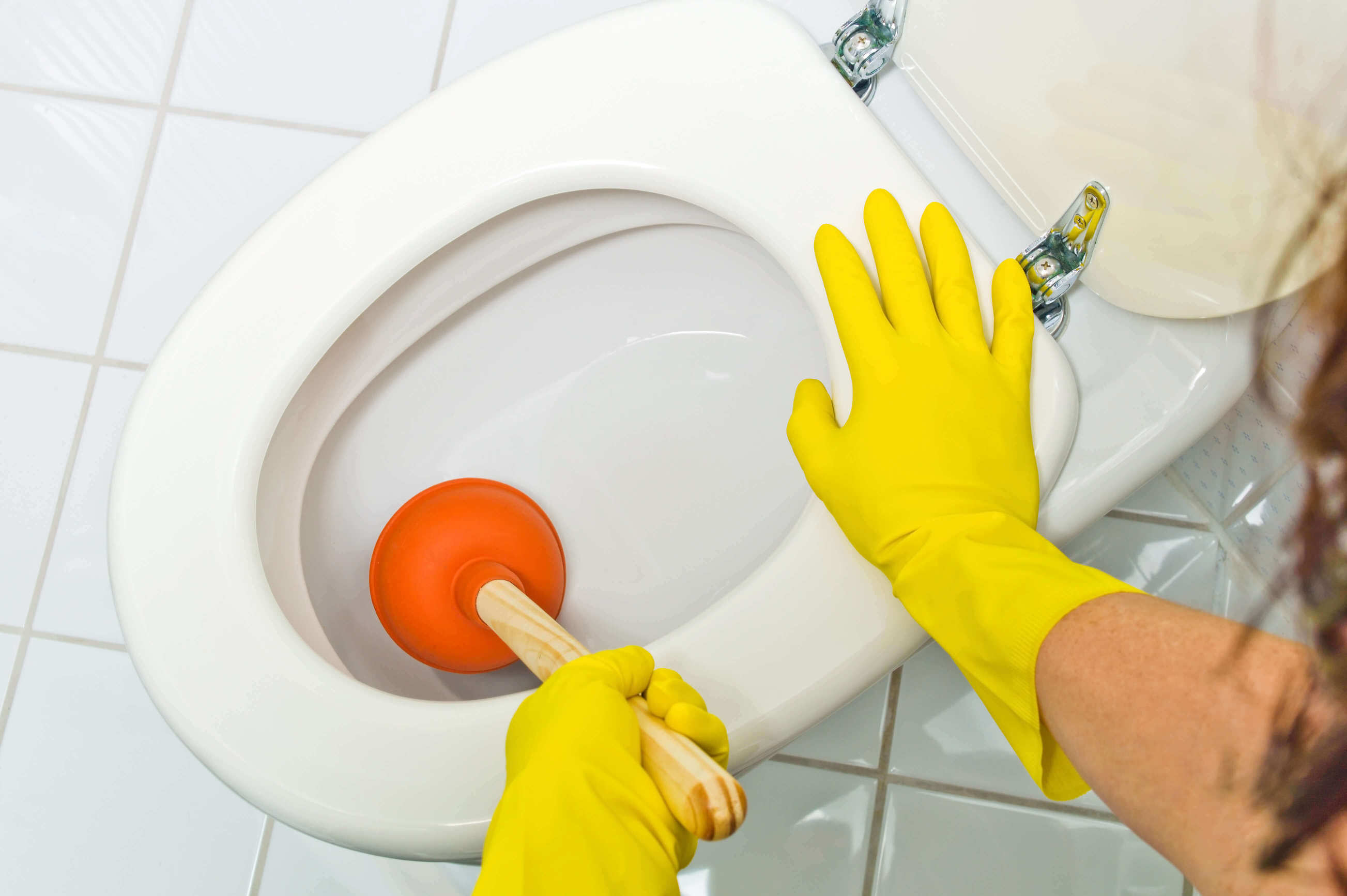 How to Unblock a Toilet Drain (6 Steps), Guide